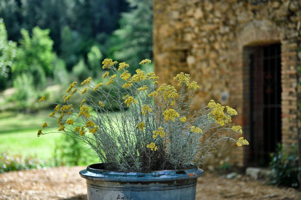 Les Jardins De Falguiere Saint-Jean-du-Gard Eksteriør billede