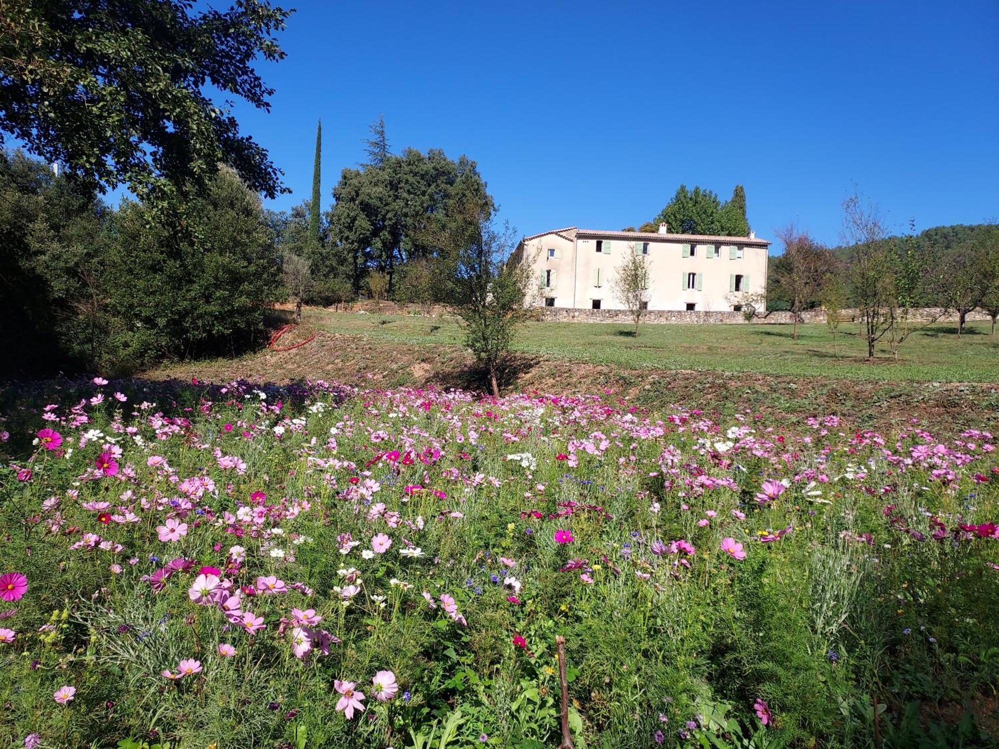 Les Jardins De Falguiere Saint-Jean-du-Gard Eksteriør billede
