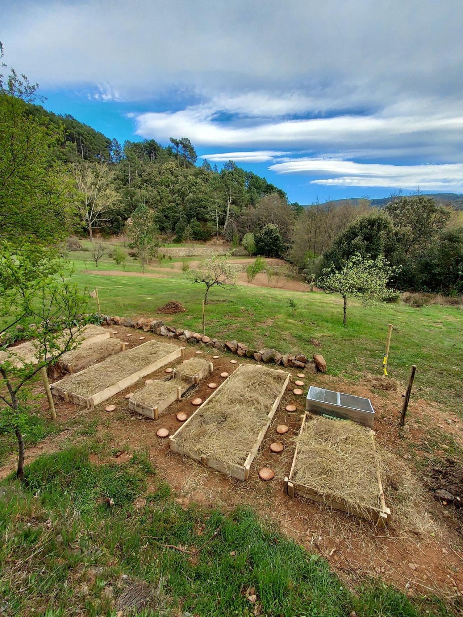 Les Jardins De Falguiere Saint-Jean-du-Gard Eksteriør billede